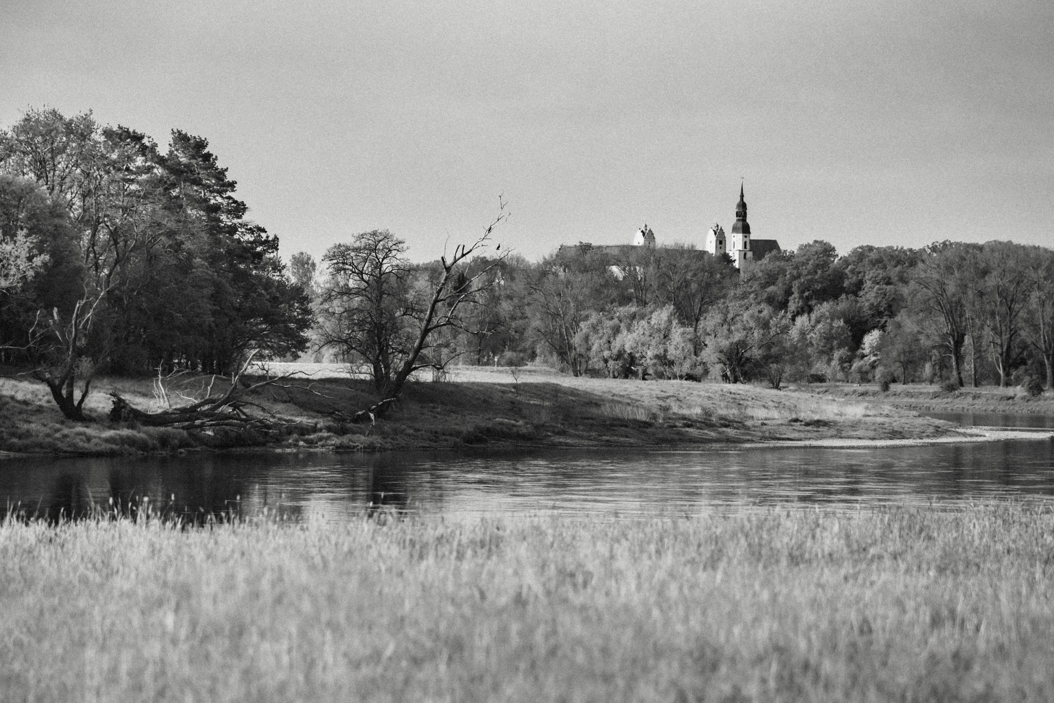 Strehla - Sachsen - Sommer - 2022 - Marcus Fröhner