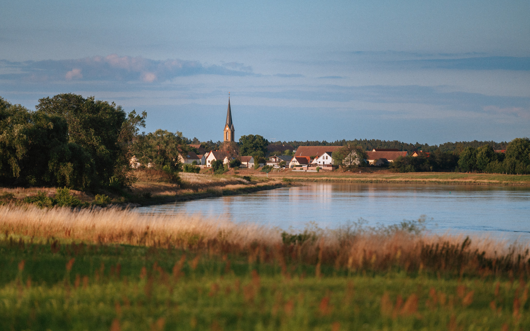Kreinitz - Sachsen - Sommer - 2022 - Marcus Fröhner