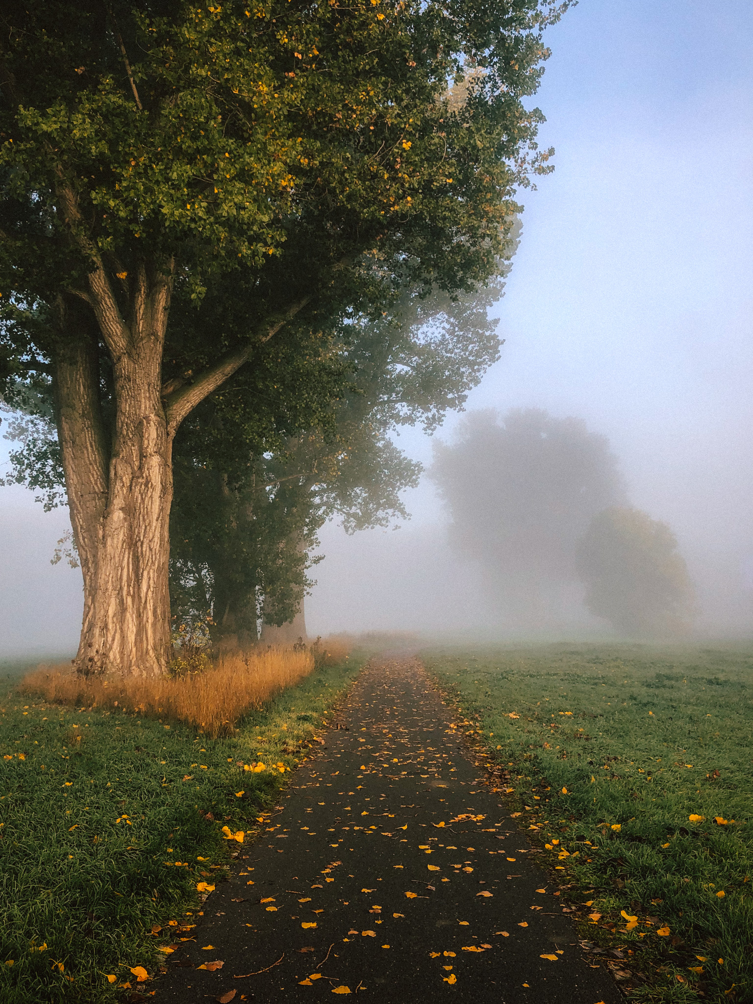 Strehla - Herbst - Elbe - Görzig - 2022 - Marcus Fröhner
