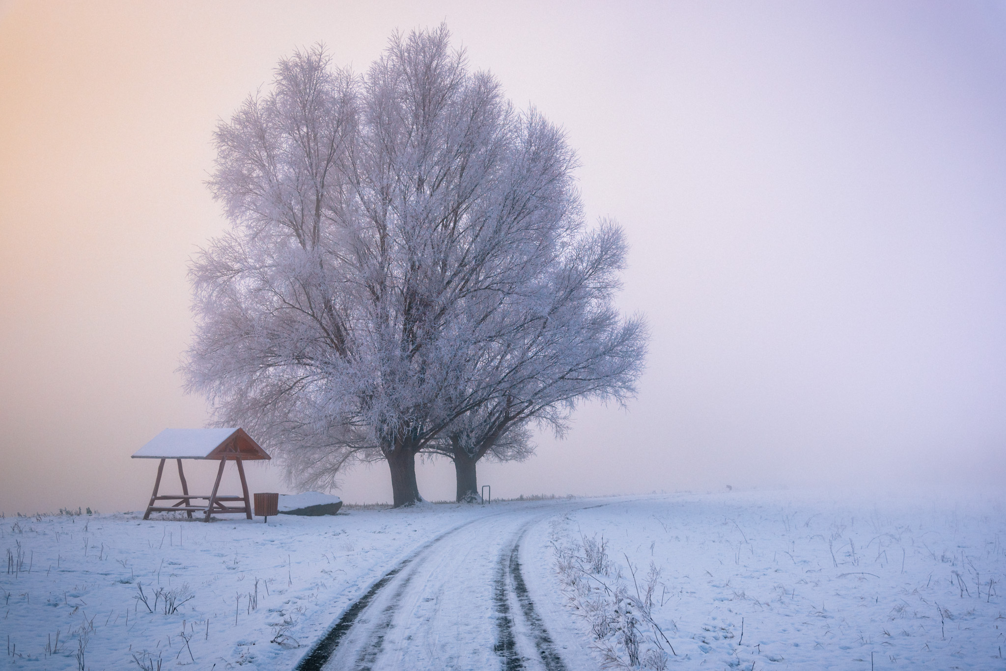 Görzig - Sachsen - Sommer - 2022 - Marcus Fröhner